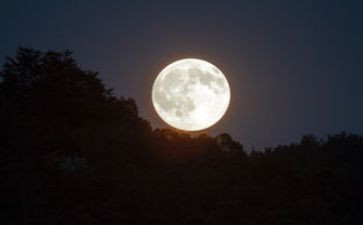 明月夜读后感5篇