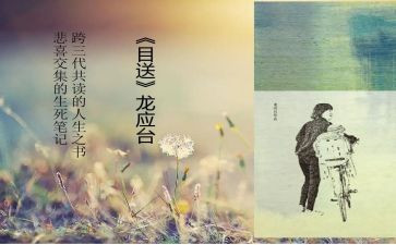 龙应台目送读后感5篇