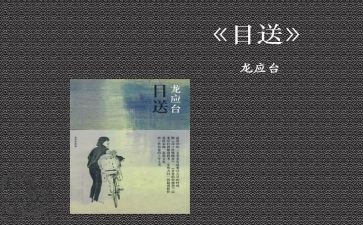 目送读后感5篇