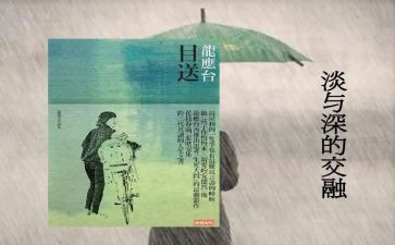 《目送》的读后感模板6篇