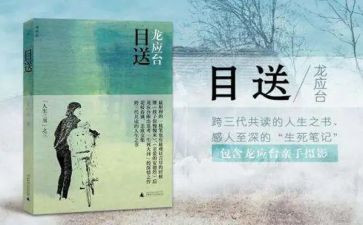 《目送》的读后感优秀5篇