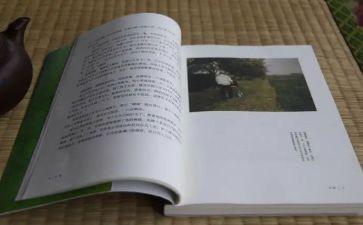 目送读后感100字7篇