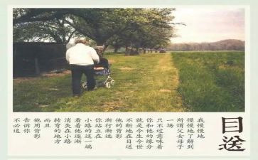 《目送》的读后感参考5篇