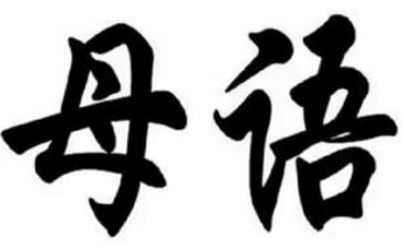 小学母语文教师个人总结模板7篇