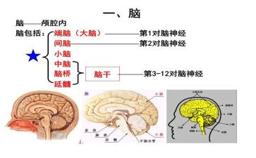 没头脑的读后感优质7篇