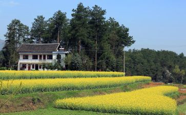 2022农村年终工作总结7篇