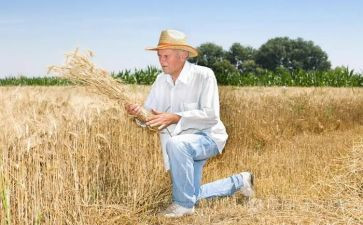 农夫和熊的读后感8篇