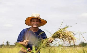 《农夫与蛇》读后感范文5篇