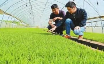 农技员个人总结6篇