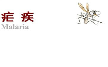 2024疟疾宣传活动总结推荐6篇