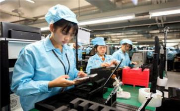 学校女工委工作计划最新7篇