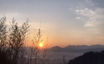 《盼》的教学设计最新8篇