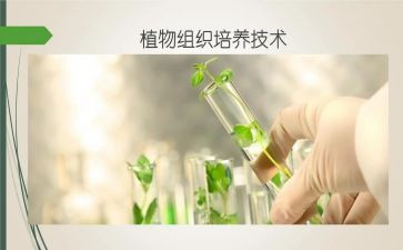 培养优秀生工作总结8篇
