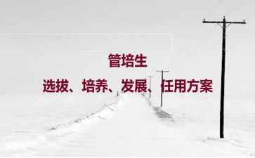 人才培养工作计划6篇