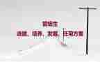 人才培养工作计划6篇