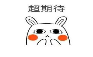 我期待作文300字通用5篇