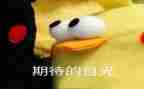 我期待作文300字优质6篇