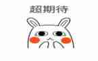 我期待作文300字通用5篇