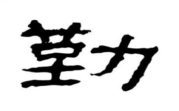 公司的后勤工作计划范文5篇