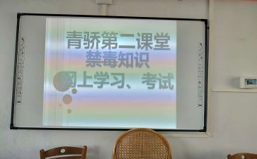 教师青骄计划总结报告8篇