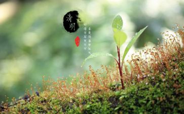 清明节祭祀活动方案6篇