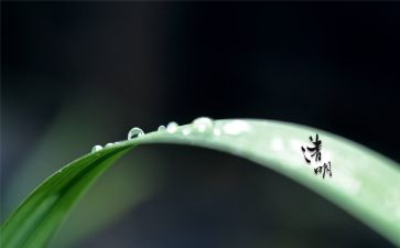 清明节少先队活动方案8篇