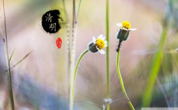 清明节网上祭祀活动方案6篇