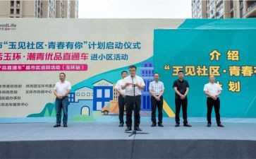 区青优教师工作总结精选5篇