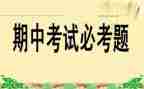 期中总结教师发言稿7篇