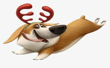 军犬黑子的读后感推荐6篇