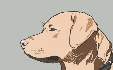 县犬只管理工作总结7篇