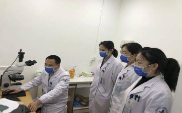 镇安全科工作总结5篇