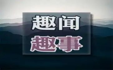 趣事高中作文800字7篇