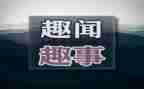 春节趣事500字作文最新5篇