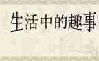 小趣事作文300字8篇