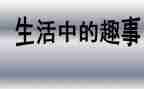 假期有趣事作文推荐8篇