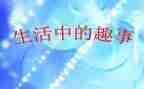 《校园趣事》作文优质8篇