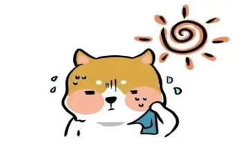 小班冷和热教学反思8篇