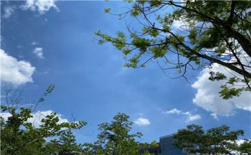 小班科学冷与热教案模板8篇
