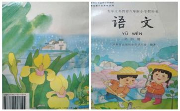周围的人教案7篇