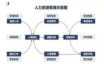 人力资源半年度工作计划6篇