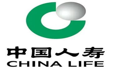 中国人寿综合柜员工作总结6篇
