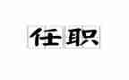 任职工作总结和工作总结6篇