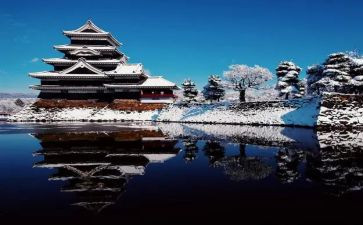 日本留学申请书7篇
