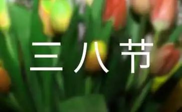 三八妇女运动会活动方案5篇