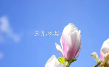 幼儿园三月总结5篇