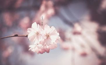 小班三月份月总结7篇
