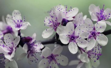 三月的工作计划优质5篇