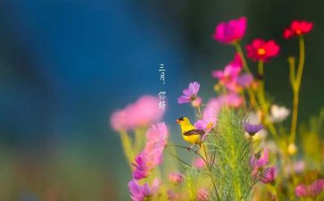 三月工作计划范文6篇