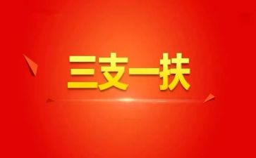 三支一扶个人年度总结5篇